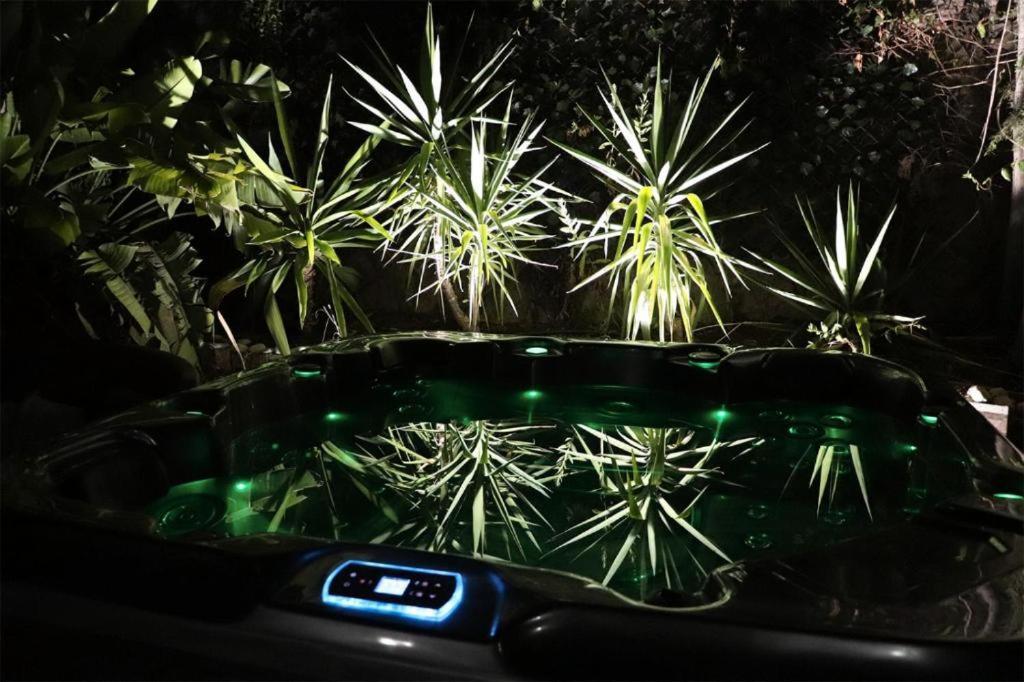 Luxury Jacuzzi Home & Terraces Málaga Eksteriør billede